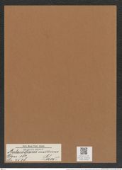 Aulacodiscus mammosus Grev. (de-Toni-Nr.: Genus 182, Species 4538) Zeichnungen Sammlung Grunow Mappe 04460 (Herbarium_W_Grunow_drawings_Folder_04460)